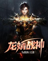 龙婿战神封面