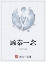 顾秦一念封面