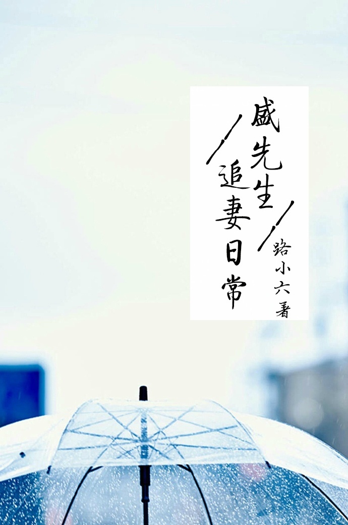 盛先生追妻日常封面