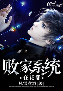 败家系统在花都封面