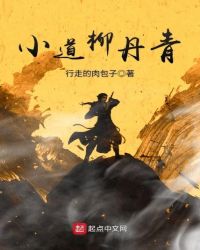 小道柳丹青封面