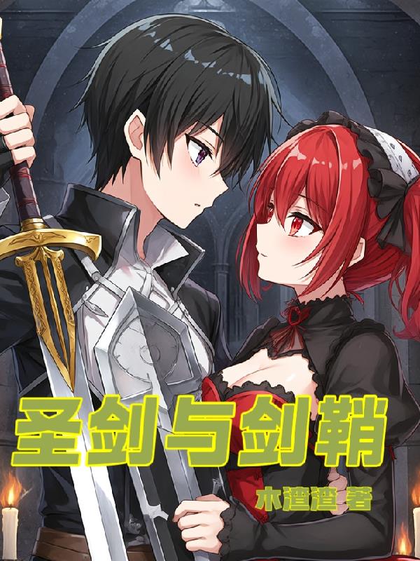 圣剑与剑鞘封面