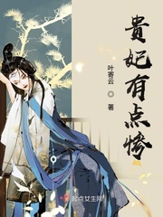 贵妃有点惨封面