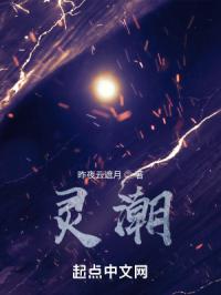 灵潮封面
