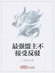 最强盟主不接受反驳封面
