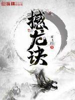 撼龙诀封面