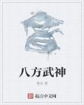 八方武神封面