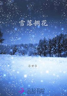 雪落拥花封面