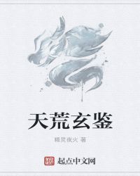 天荒玄鉴封面