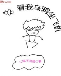 看我乌鸦坐飞机封面