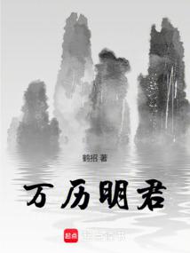 万历明君封面
