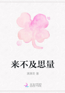 来不及思量封面