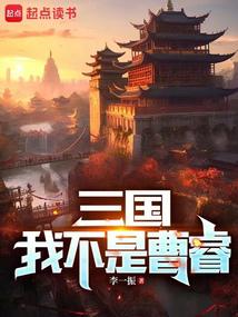 三国：我不是曹睿封面