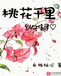 桃花千里纵难寻封面