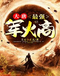 大唐：最强军火商封面