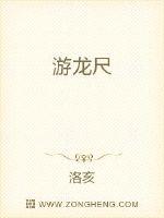 游龙尺封面