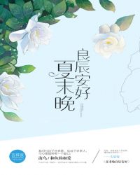 夏未晚良辰安好（影视+出版）封面