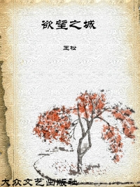 欲望之城（全本）封面