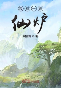 我有一鼎仙炉封面
