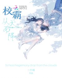 校霸从天而降封面