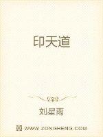 印天道封面