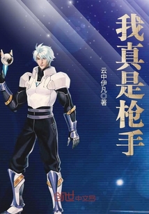 我真是枪手封面