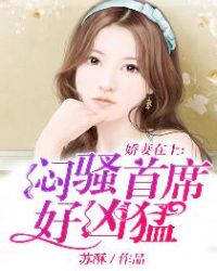 娇妻在上：闷骚首席好凶猛封面