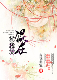 混在红楼梦封面