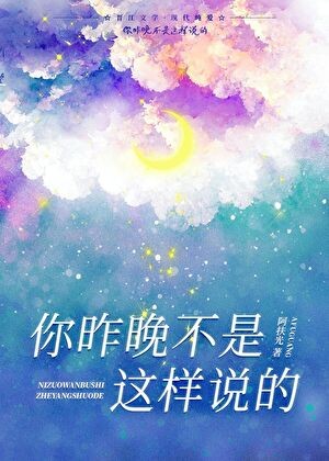 你昨晚不是这样说的［娱乐圈］封面