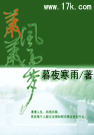 萧萧风雨梦封面