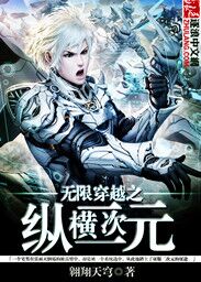 无限穿越之纵横二次元封面