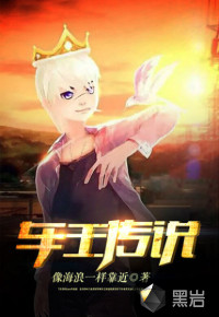 车王传说封面