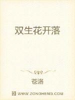 双生花开落封面