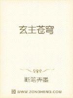 玄主苍穹封面