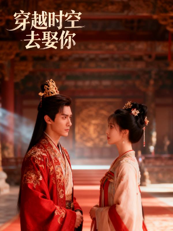 穿越时空去娶你封面