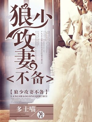 狼少攻妻不备封面
