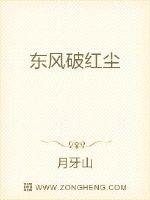 东风破红尘封面