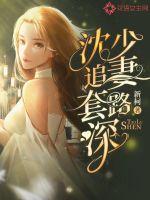 沈少追妻套路深封面