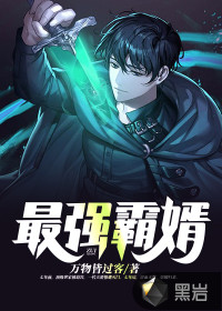 最强霸婿封面