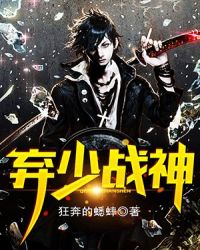 弃少战神封面