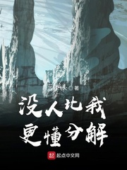 没人比我更懂分解封面