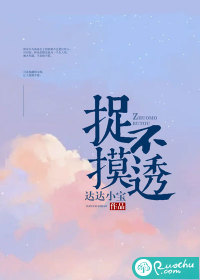 捉摸不透封面