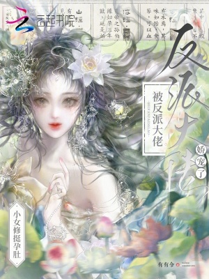 小女修挺孕肚,被反派大佬娇宠了封面