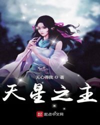 天星之主封面