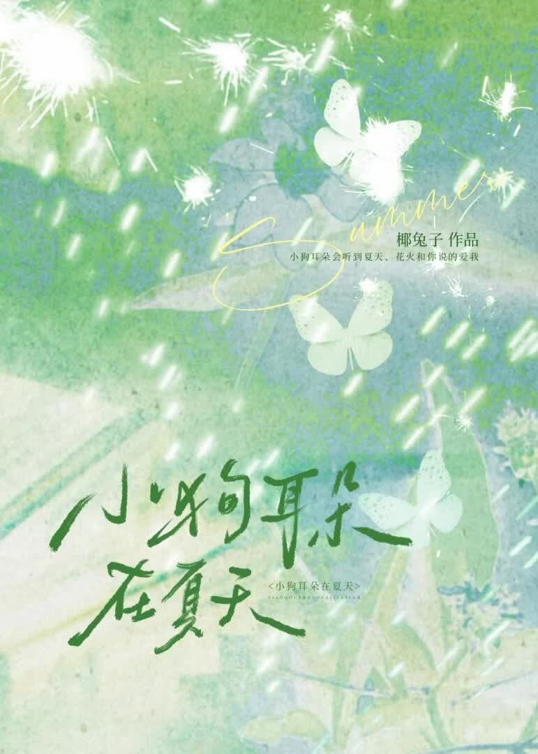 小狗耳朵在夏天封面