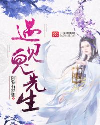 遇见鬼先生封面