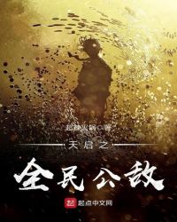 天启之全民公敌封面