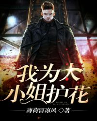 我为大小姐护花封面