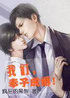 我们，奉子成婚封面