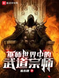巫师世界中的武道宗师封面